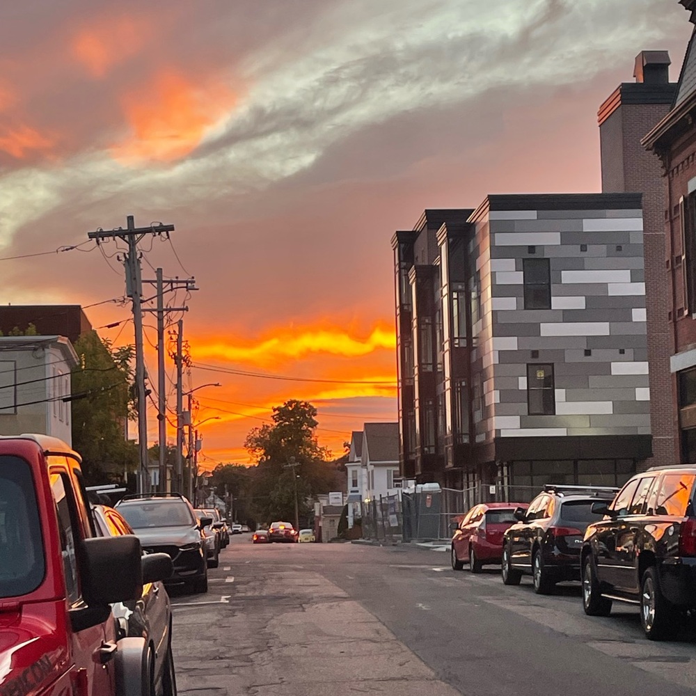 Meet your Posher, Carol